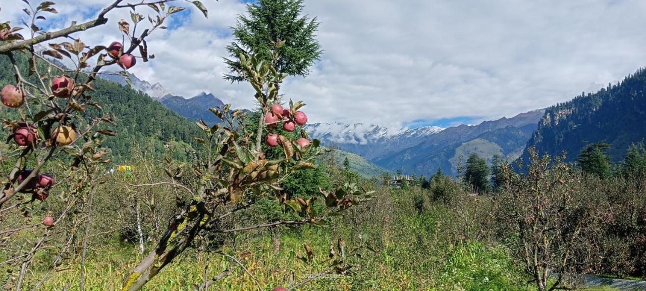 Apple Flower With Balcony And Mountain View 마날리 외부 사진